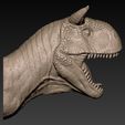 08.jpg Carnotaurus  Head