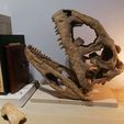 IMG_20210703_205218.jpg Majungasaurus skull 3D Print - dinosaur