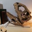 IMG_20210703_205218.jpg Majungasaurus Schädel 3D-Druck - Dinosaurier
