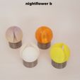 Nightflower-b4.jpg Nightflower-b