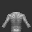 altos-polys3.jpg Realistic torso sculpture for 3D printing