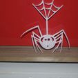 _DSC0041.JPG spider halloween wall decoration