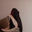 20231223_192611.jpg Shark Jaws Wall Mount Customized/Personalized Tyophy