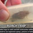 5932e84fcf3783957bdfacd285ec1c0a_display_large.jpg Roach Trap...Reusable trap to catch and kill cockroaches