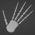 mc.png ARTICULATED SKELETON HAND