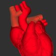 887D2DE1-DCA5-4E05-B50E-E4566A18A673.jpeg Artwork Corazón sostenida con una mano / Artwork of a Heart Held in a Hand
