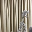 IMG_1748.jpeg Cat Skeleton [Articulated]