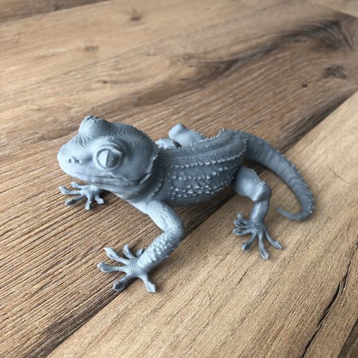 gécko crête 3D model