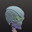 IMG_3385.jpeg Cyber skull
