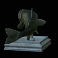 Bass-stocenej-5.png fish bass trophy statue detailed texture for 3d printing