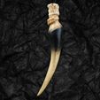 9.jpg Basilisk Fang - Harry Potter