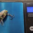 Beetle-fishing-lure-6.jpg Beetle fishing lure