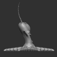 Katman-3.png Octopus Plankton