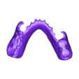 789513050_20241210_1320_Tech_01_K_H_a_D_flex_A3,5_1_Print.stl DIGITAL FLEXIBLE PARTIAL DENTURES upper + lower (3D models !!!) - 10 stl files for download