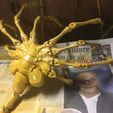 image2.JPG Agisis Face Hugger (simplified)