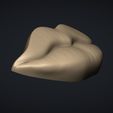 06.jpg Figurine Lips 3D print model