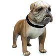 01.jpg DOG DOG - DOWNLOAD BULLDOG 3d model - animated for - MAYA - BLENDER 3 - 3DS MAX - UNITY - UNREAL - CINEMA 4D -  3D printing DOG CANINE HUNTER LABRADOR RAPTOR PREDATOR PREY PLUSH PET HOUSE HOME GARDEN PROTECTOR FRIEND MAN BOY CHILDREN