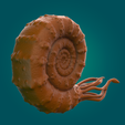 Amonite-Cámara 4.318.png Ammonite