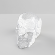 Air-skull.png Air Skull