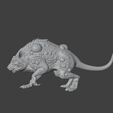 giant-rat-1.2.jpg Giant rat 1