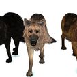 7490.jpg DOG DOG DOWNLOAD German Shepherd 3d model animated for blender-fbx-unity-maya-unreal-c4d-3ds max - 3D printing DOG DOG DOG WOLF POLICE PET HUNTER RAPTOR