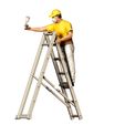 Painter40071.jpg N4 Painter on the Ladder