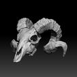 ramy4.jpg Ram Skull