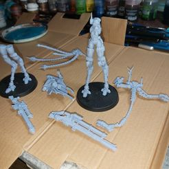 Chercheur prétorien