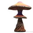 1.jpg Mushroom Giant FOREST NATURE GRASS VEGETABLE FRUIT TREE FOOD WORLD LANDSCAPE MAGIC Mushroom MUSHROOM