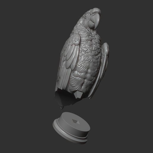 🦜 Parrot・ STL File for 3D printing and CNC machining - Laser cutting・Cults