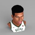 untitled.1942.jpg Giannis Antetokounmpo bust ready for full color 3D printing