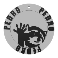 llavero-001.png Pedro Pe Raccoon Keychain - TikTok FYP