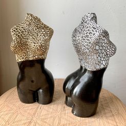 thumbnail_IMG_8488.jpeg STL-Datei büste frau halb Voronoi dekoration・Design zum Herunterladen und 3D-Drucken