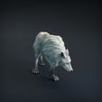 Wolf_6.jpg 3D-Datei Wolf・Design für 3D-Drucker zum herunterladen, AnimalDenMiniatures