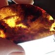 OI000751.JPG CT scan render DINOSAUR in 99 million year old amber from Myanmar