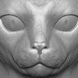 14.jpg Abyssinian cat head for 3D printing