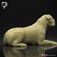 Bullmastiff-Pose-07-Dog-3D-Print-3s.jpeg Bullmastiff Dog 3D Print Model Pose 07