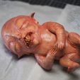 vignette_01.jpg creepy fetus