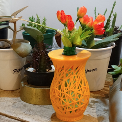 Capture d’écran 2016-11-22 à 19.10.14.png Бесплатный STL файл Think outside the mini bottle vases・Дизайн для загрузки и 3D-печати