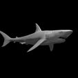 Giant_Shark_modeled.JPG Misc. Creatures for Tabletop Gaming Collection