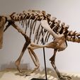 IMG_20220407_202119.jpg Fichier STL Squelette de dinosaure - Psittacosaurus V3・Plan à imprimer en 3D à télécharger, Think3dprint