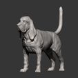 BLOODHOUND10.jpg 3D-Datei BLOODHOUND 3D-Druckmodell・Design für 3D-Drucker zum herunterladen