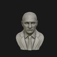 09.jpg 3D Sculpture of Vladimir Putin 3D printable model