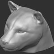 13.jpg Leopard head for 3D printing