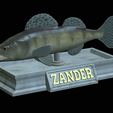 zander-statue-4-open-mouth-1-18.png fish zander / pikeperch / Sander lucioperca  open mouth statue detailed texture for 3d printing