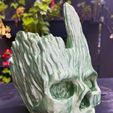 IMG_1502.jpg Groot skull planter