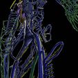 PSfinal0079.jpg Human venous system schematic 3D