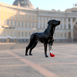 Foto1.png Articulated biomechanical prosthesis for dog left front leg - Prosótesis biomecánica articulada para pata delantera izquierda de perro - Prótesis biomecánica articulada para pata delantera izquierda de perro