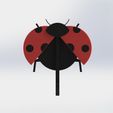 Untitled2.jpg Ladybug Key Hanger