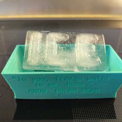 a_IMG_20210618_1254593.jpg Archivo STL gratis molde de cubitos de hielo personalizable・Modelo de impresión 3D para descargar